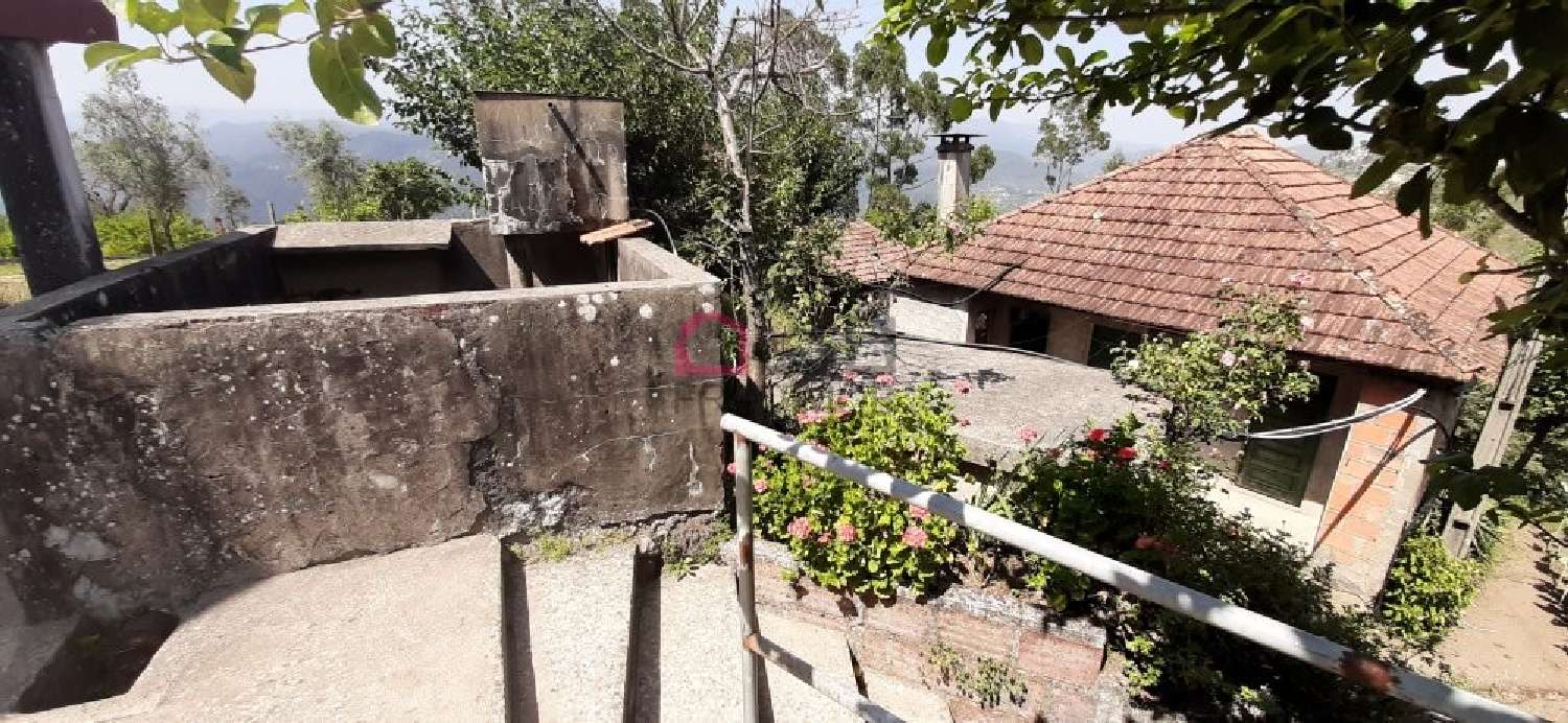  à venda casa Pinheiro Carregal Do Sal 5
