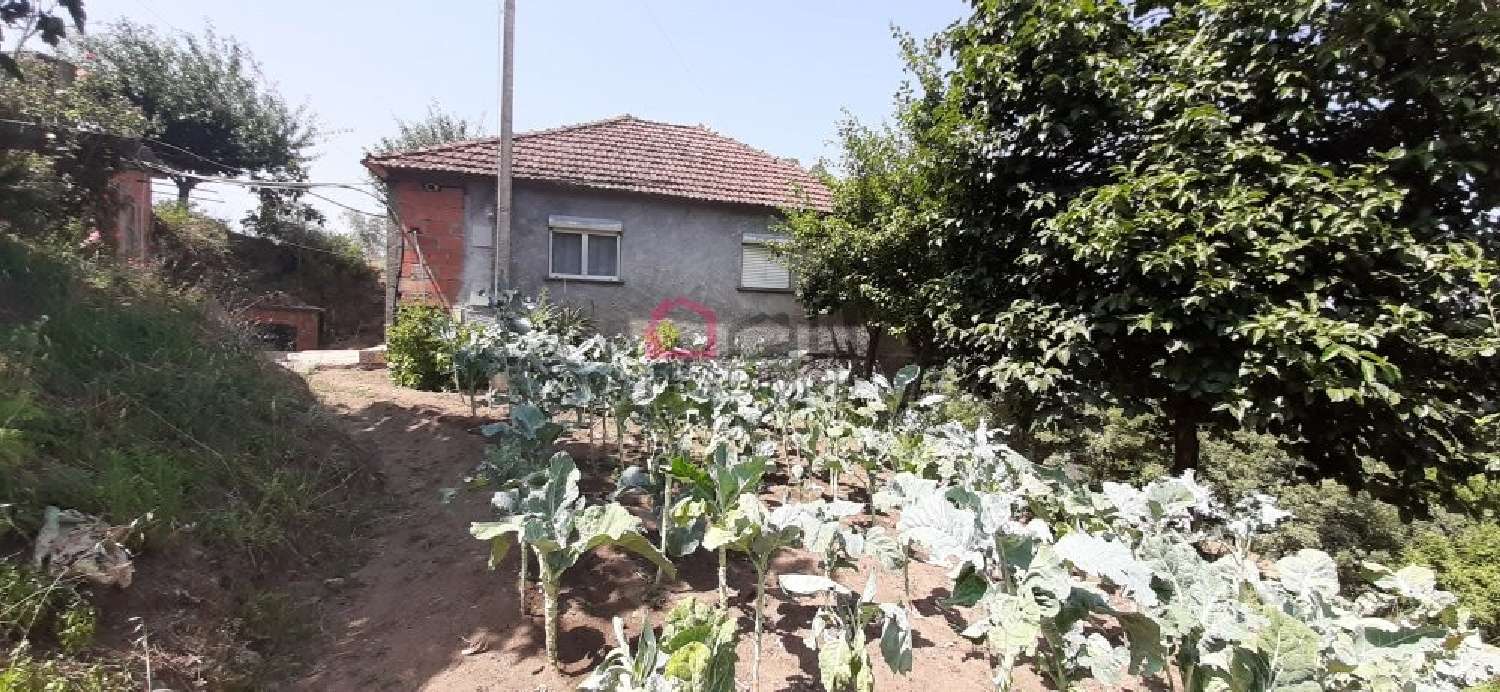  à venda casa Pinheiro Carregal Do Sal 7