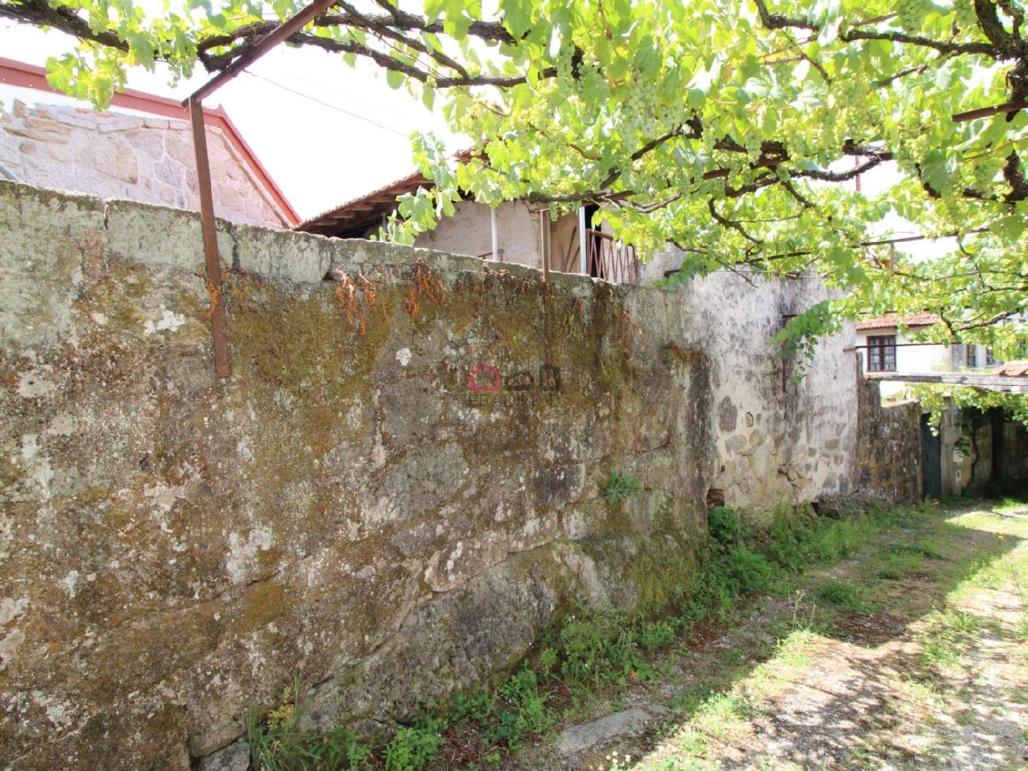  en venta casa Pinheiro Carregal Do Sal 4