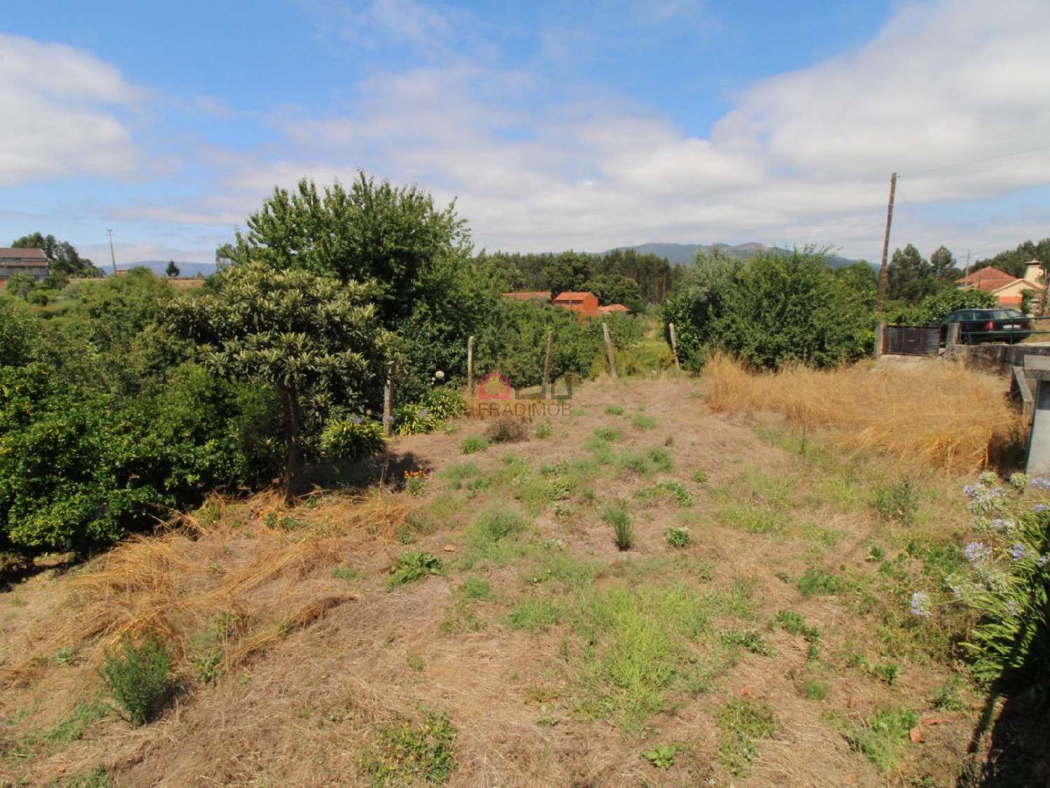  en venta casa Pinheiro Carregal Do Sal 8