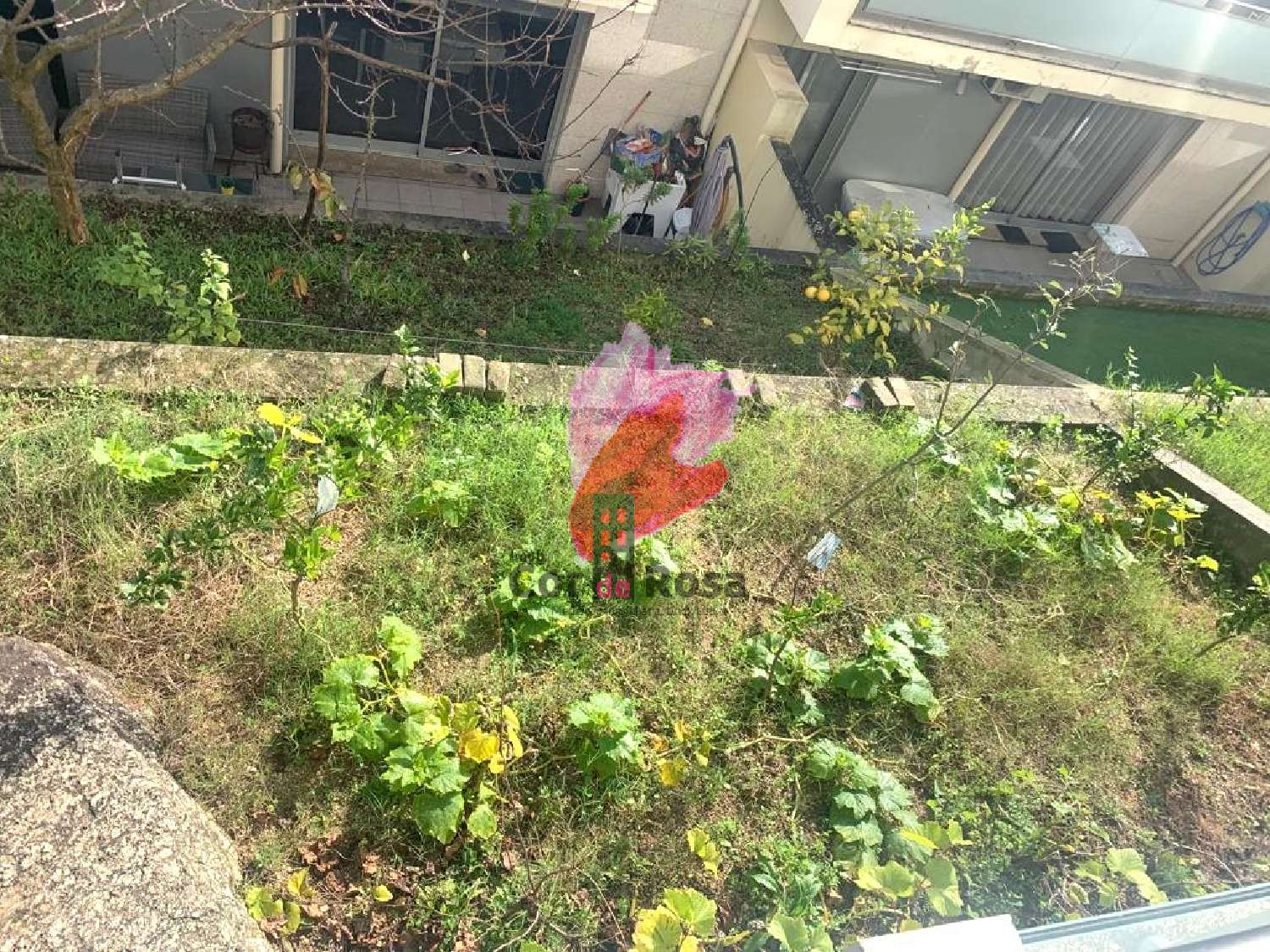  à venda casa Sá Terras De Bouro 4