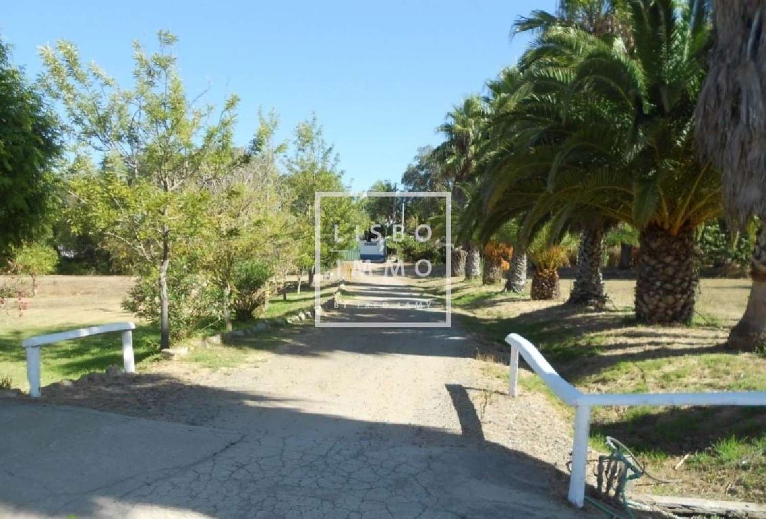 en venta casa Santiago do Cacém Santiago Do Cacém 2