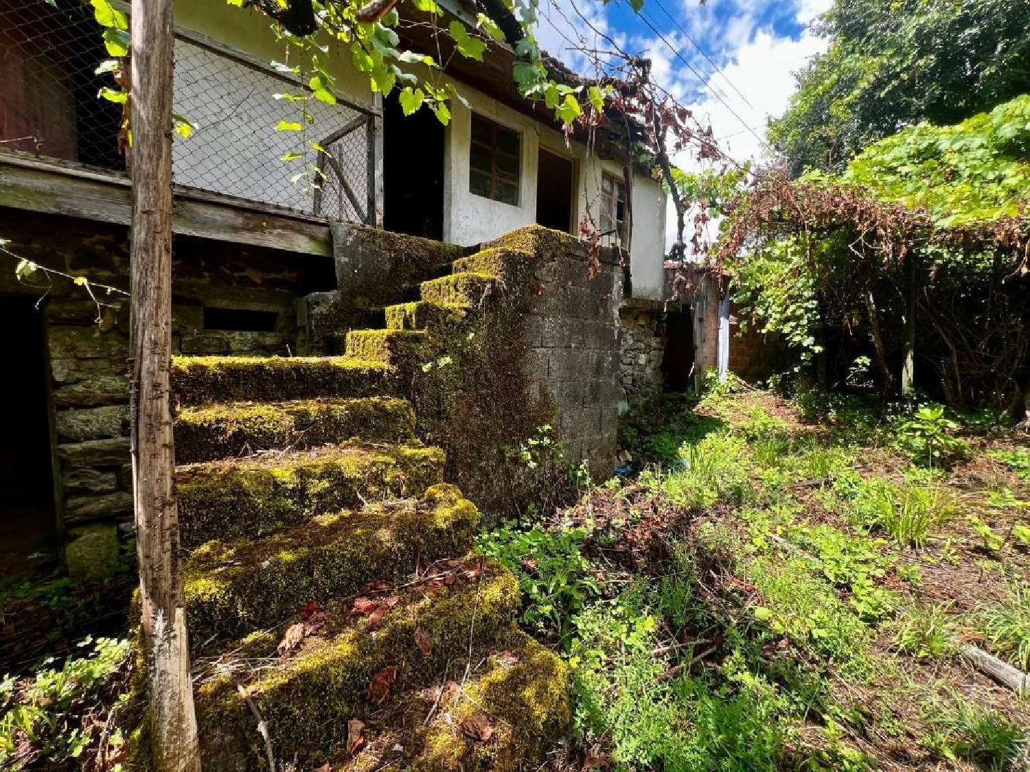  à venda casa Telões Amarante 3