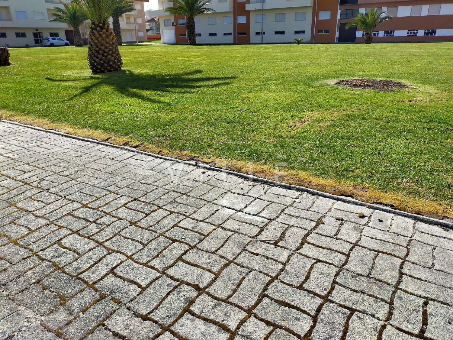  à venda casa Vagos Vagos 6