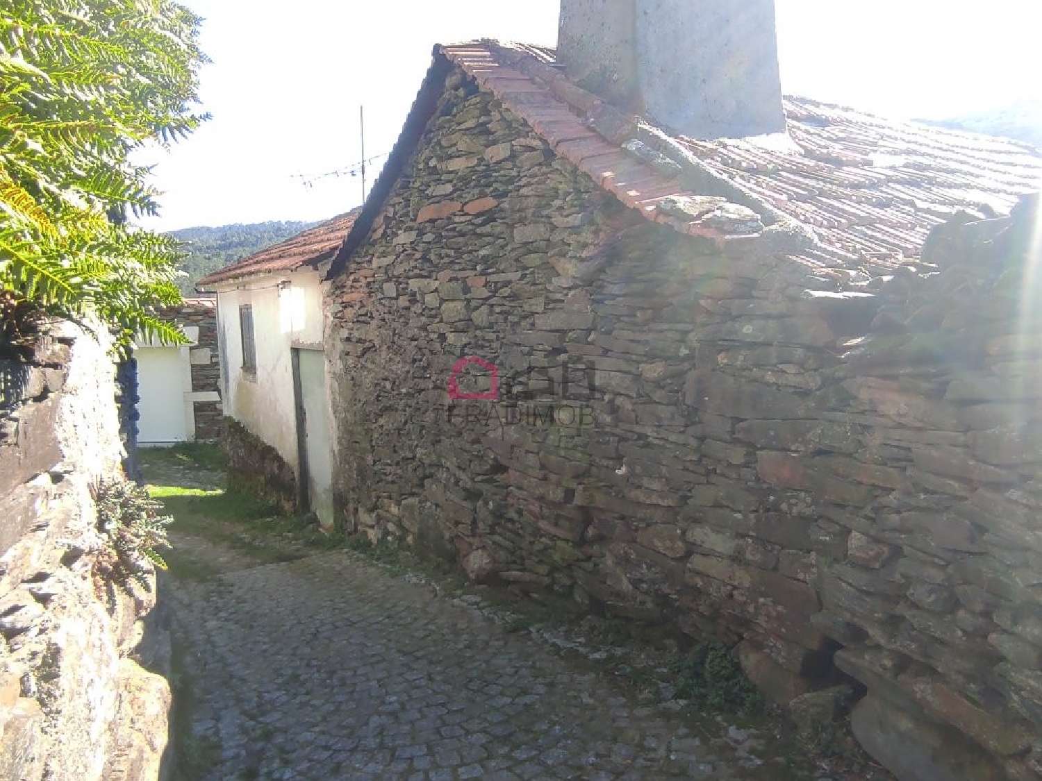  à venda casa Varzielas Oliveira De Frades 3