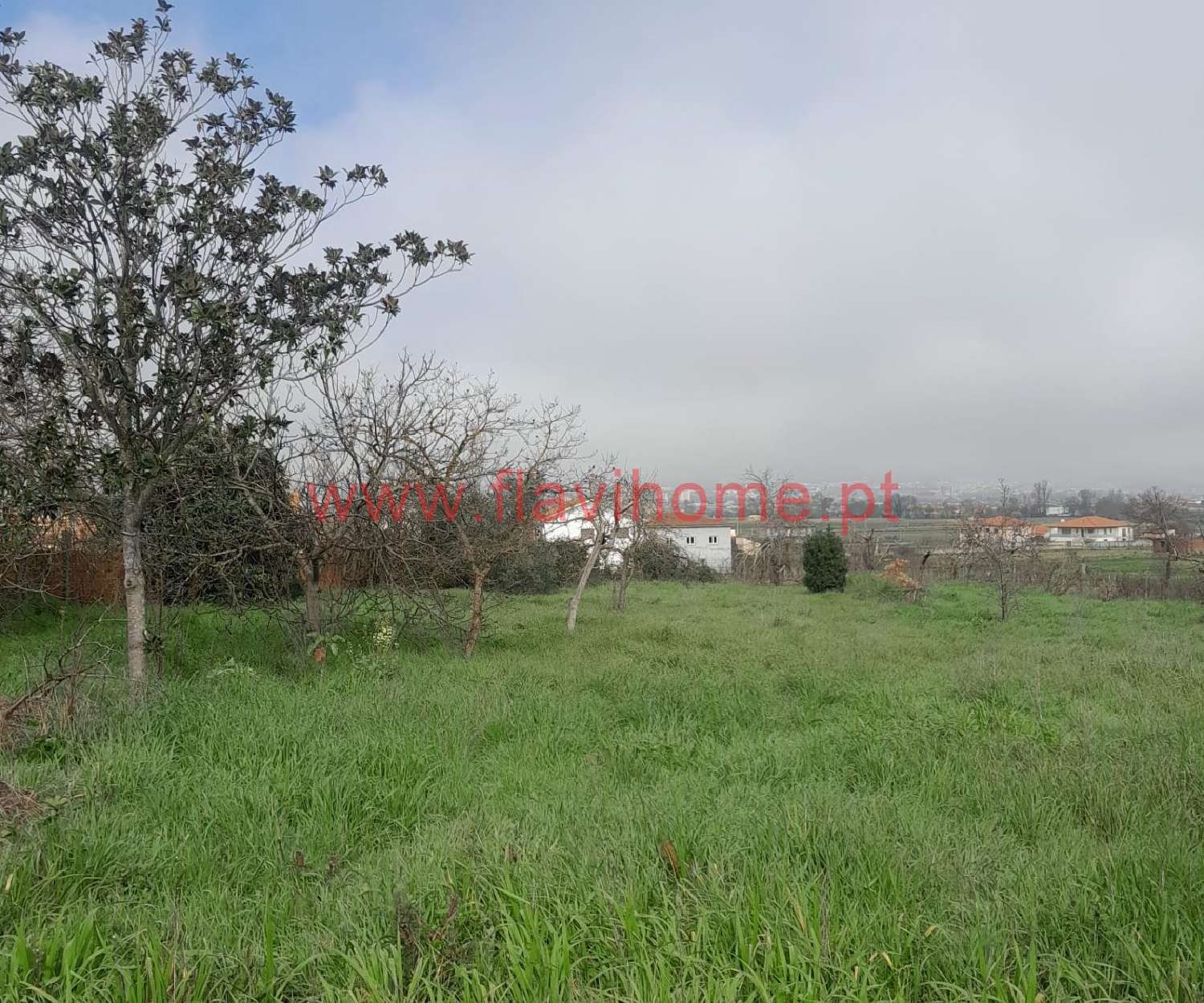  en venta casa Vilar de Nantes Chaves 4