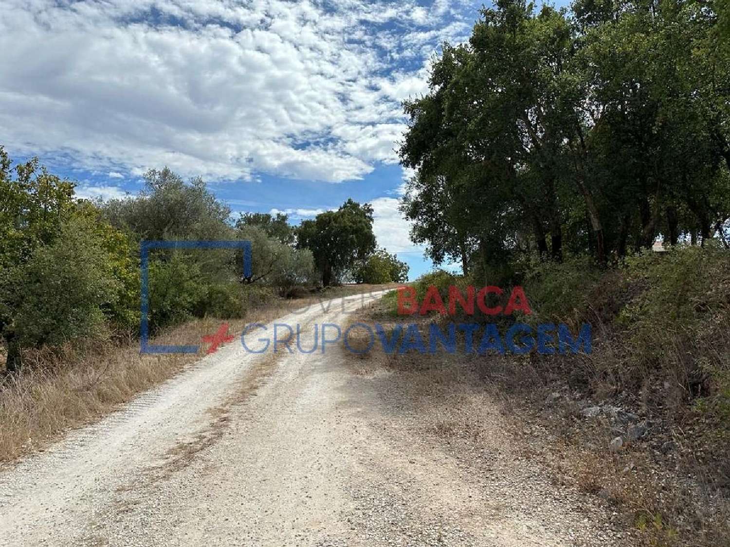  en venta terreno Alcanede Santarém 3
