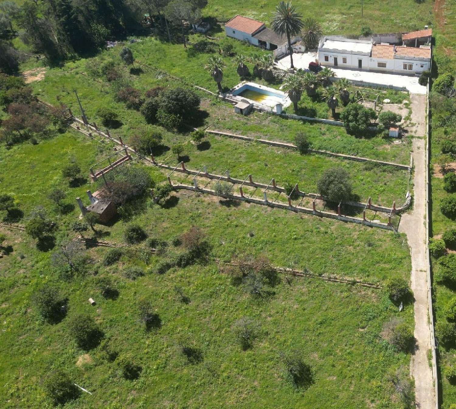  à venda terreno Alcantarilha Silves 1