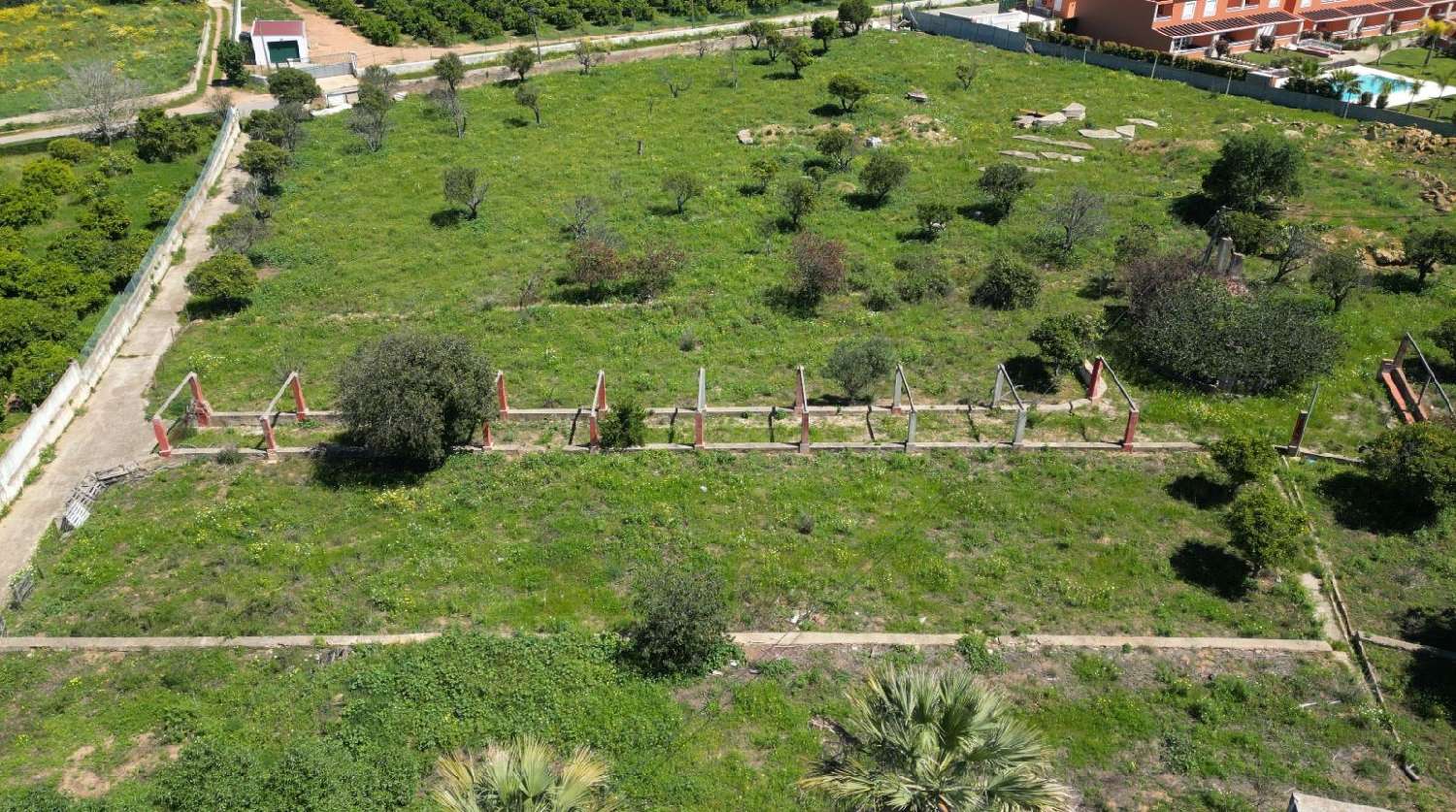  à venda terreno Alcantarilha Silves 3