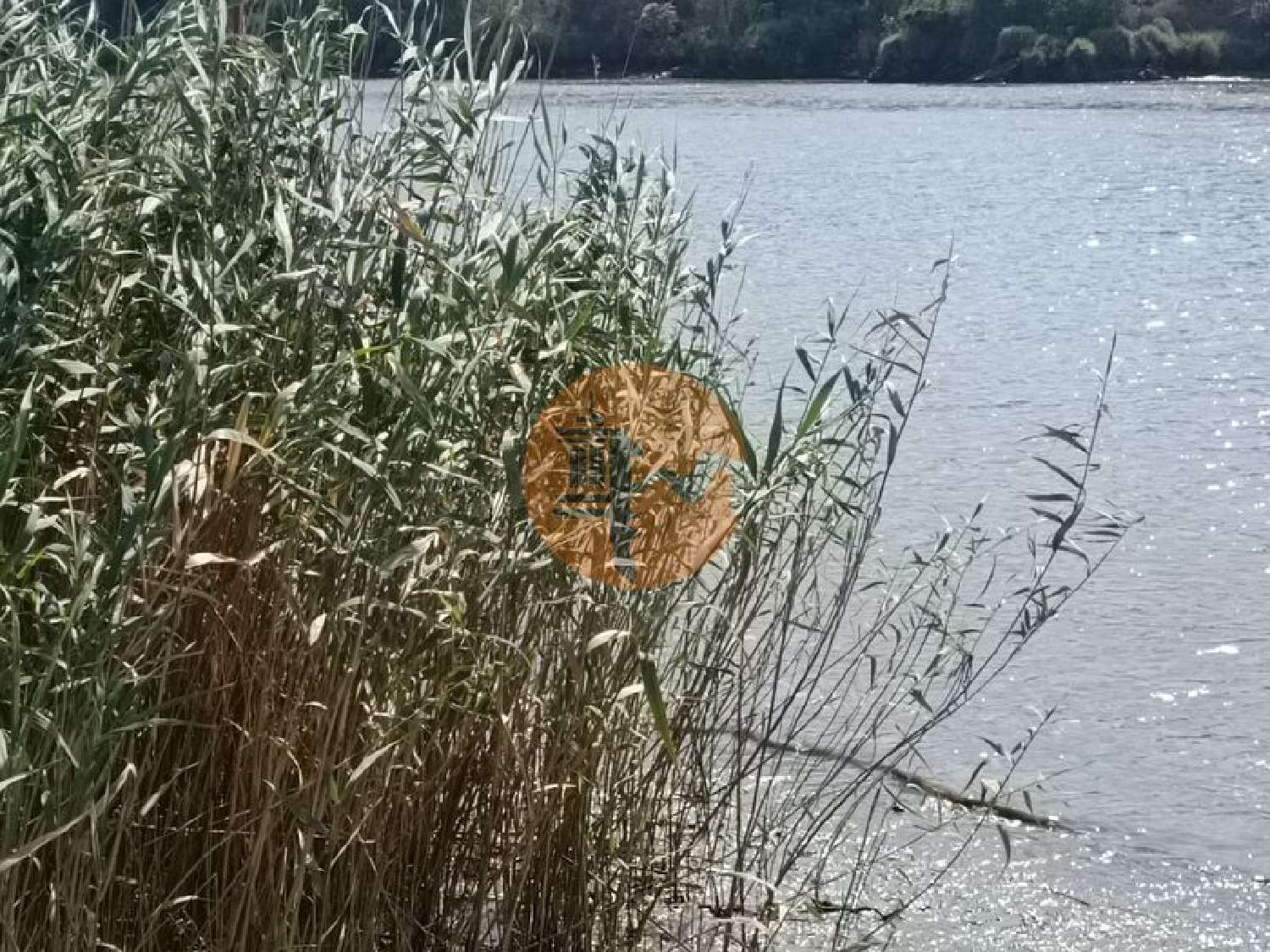  te koop terrein Alcoutim Alcoutim 3
