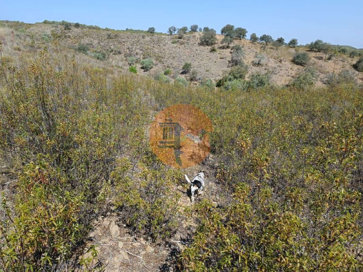  à venda terreno Alcoutim Alcoutim 4