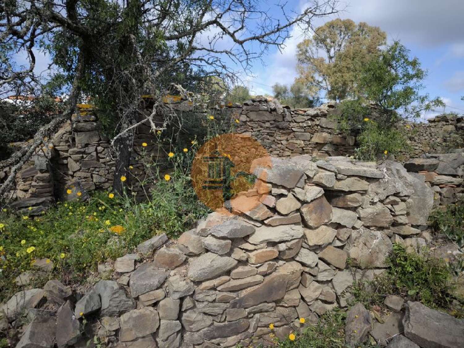  à venda terreno Alcoutim Alcoutim 1