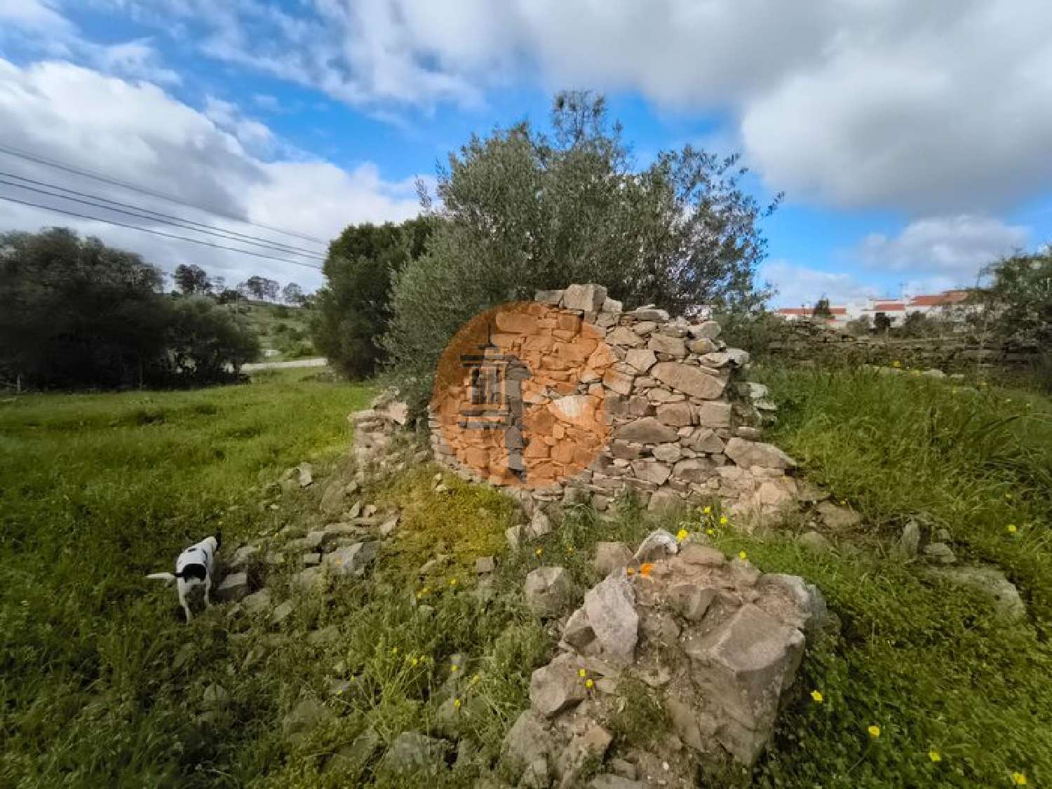  à venda terreno Alcoutim Alcoutim 6