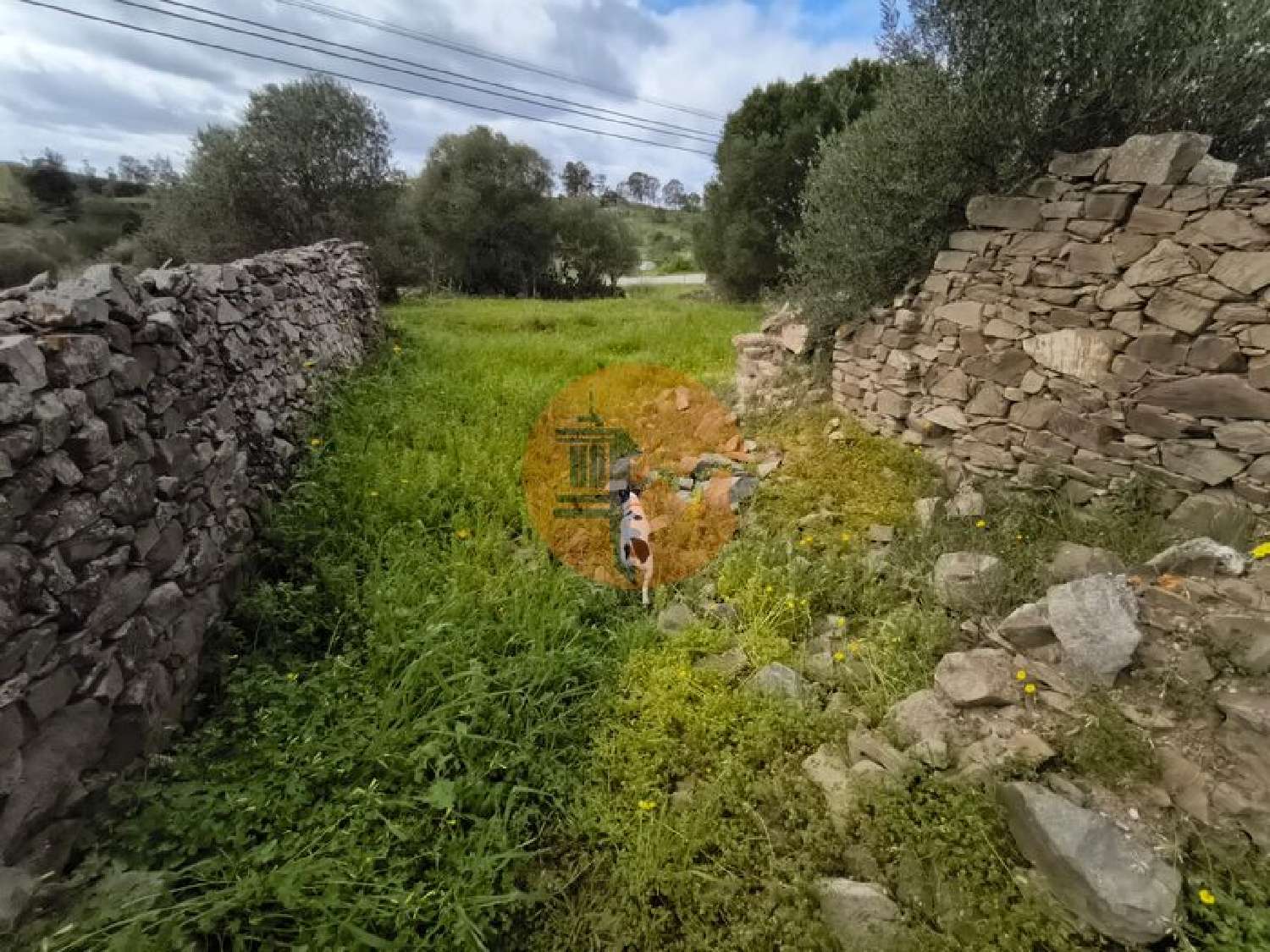  à venda terreno Alcoutim Alcoutim 7