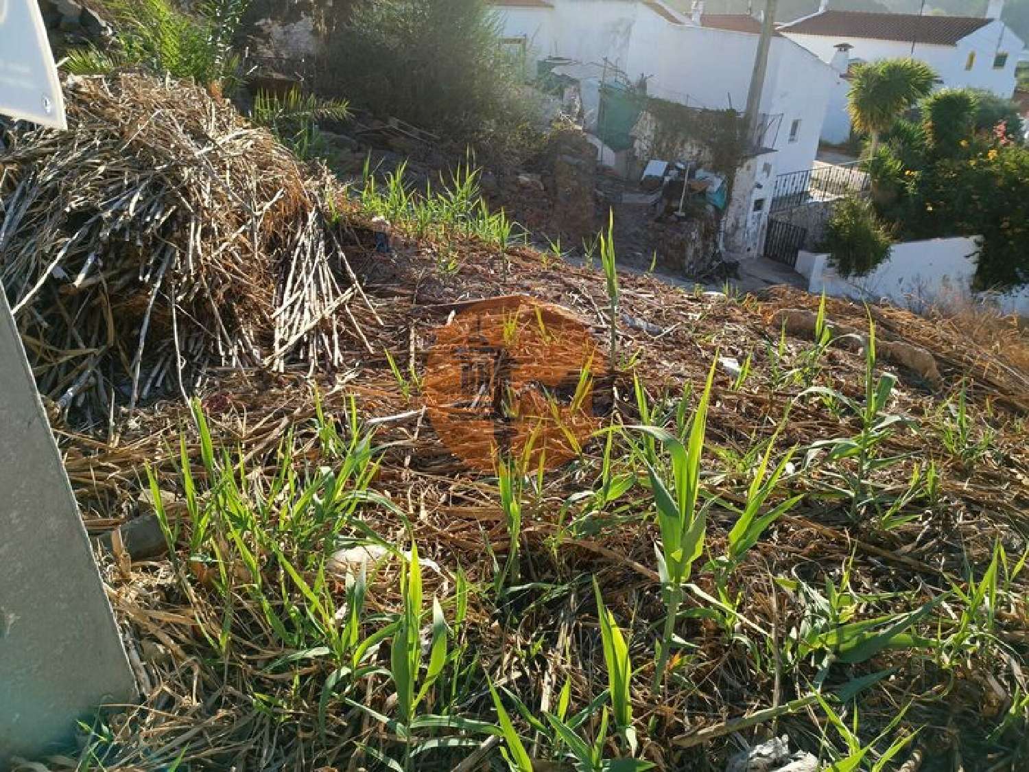  à venda terreno Alcoutim Alcoutim 7