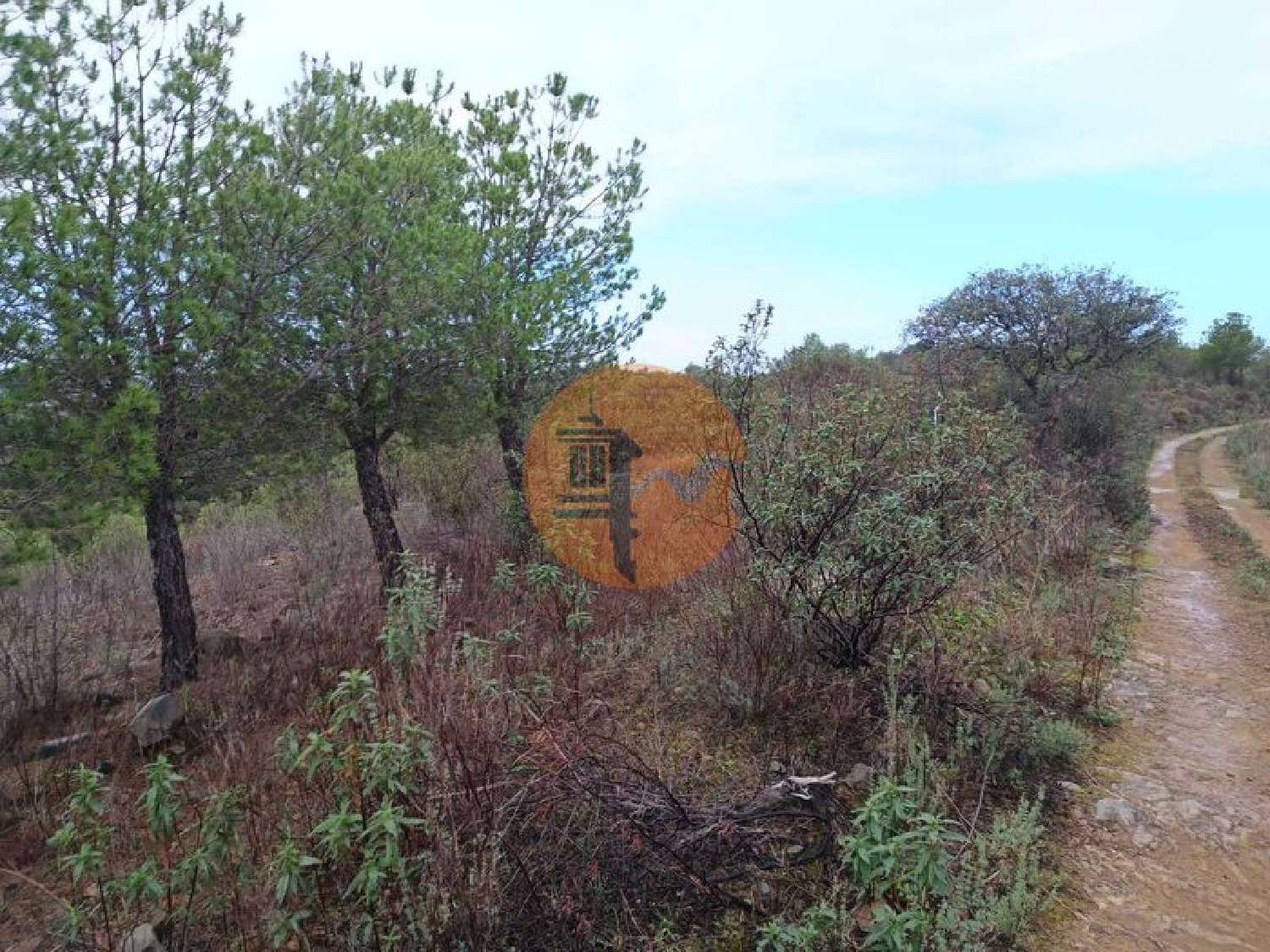  en venta terreno Alcoutim Alcoutim 7