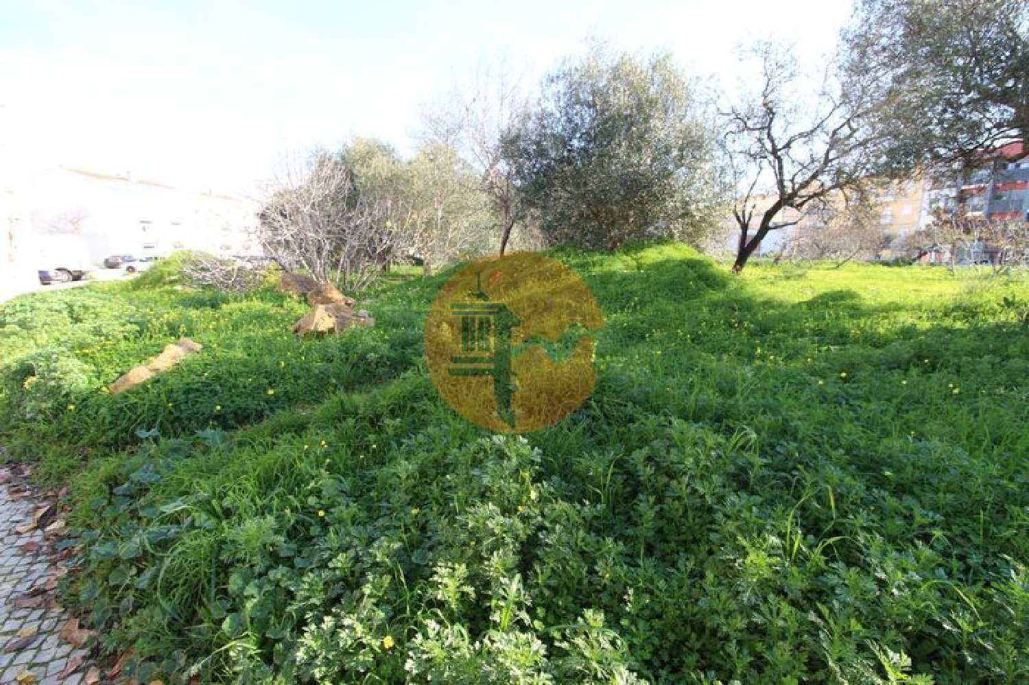  à venda terreno Almancil Loulé 2
