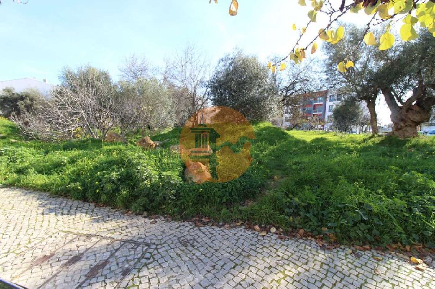  à venda terreno Almancil Loulé 4