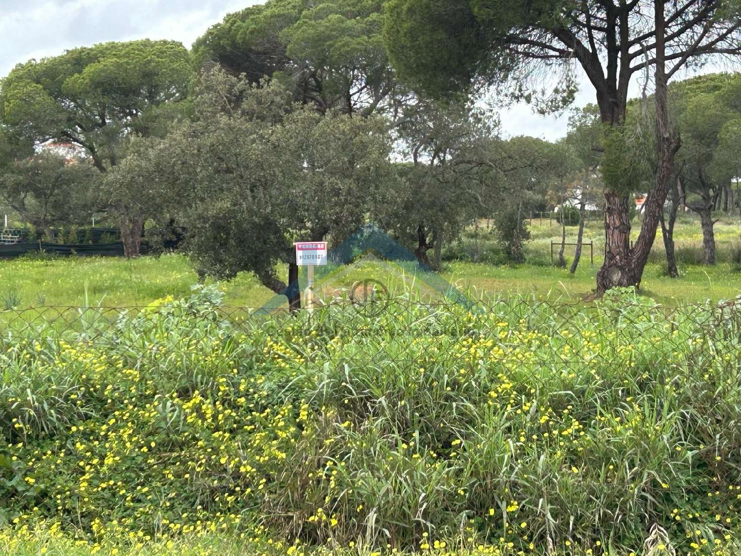  en venta terreno Almancil Loulé 1