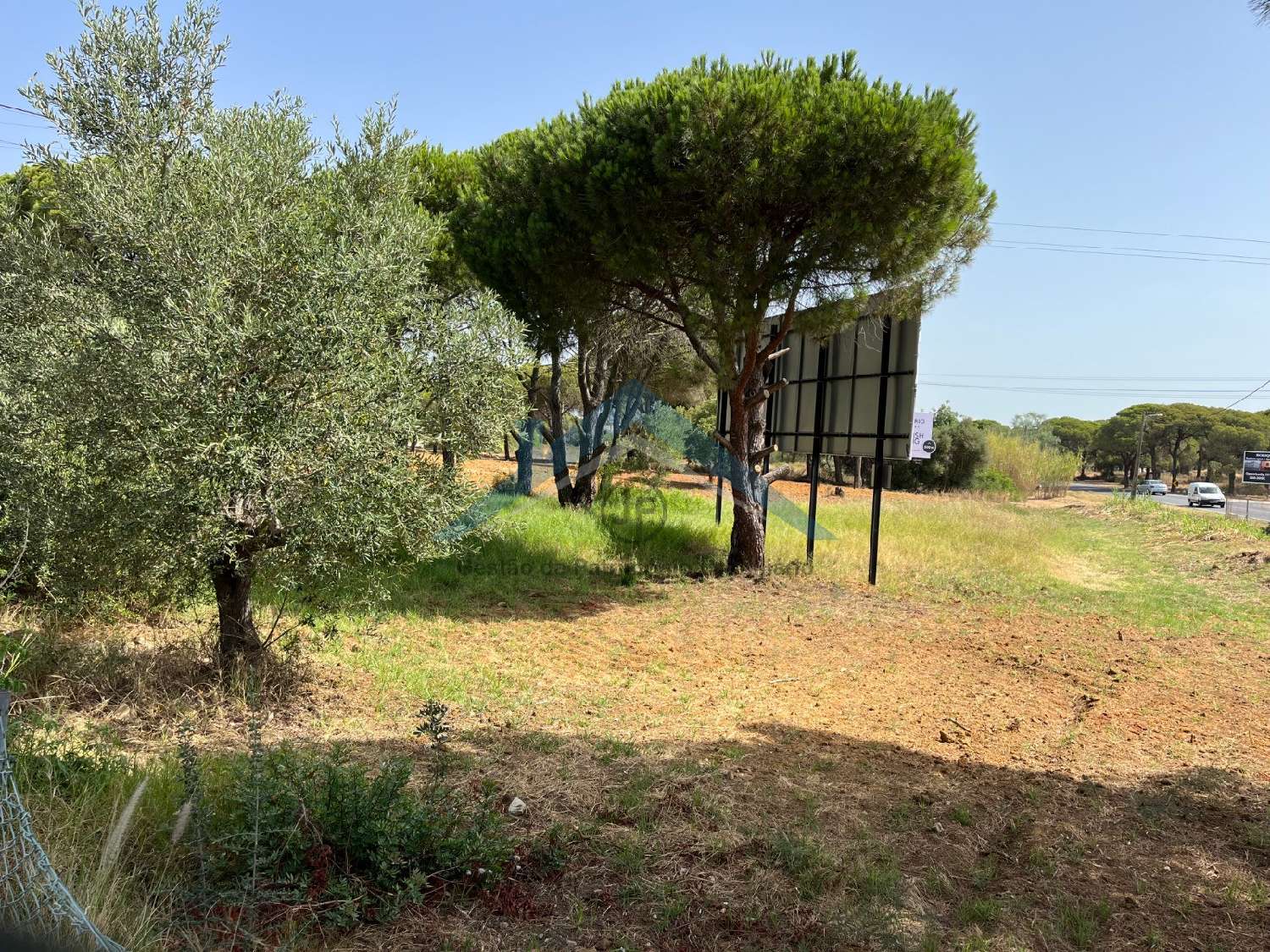 en venta terreno Almancil Loulé 2