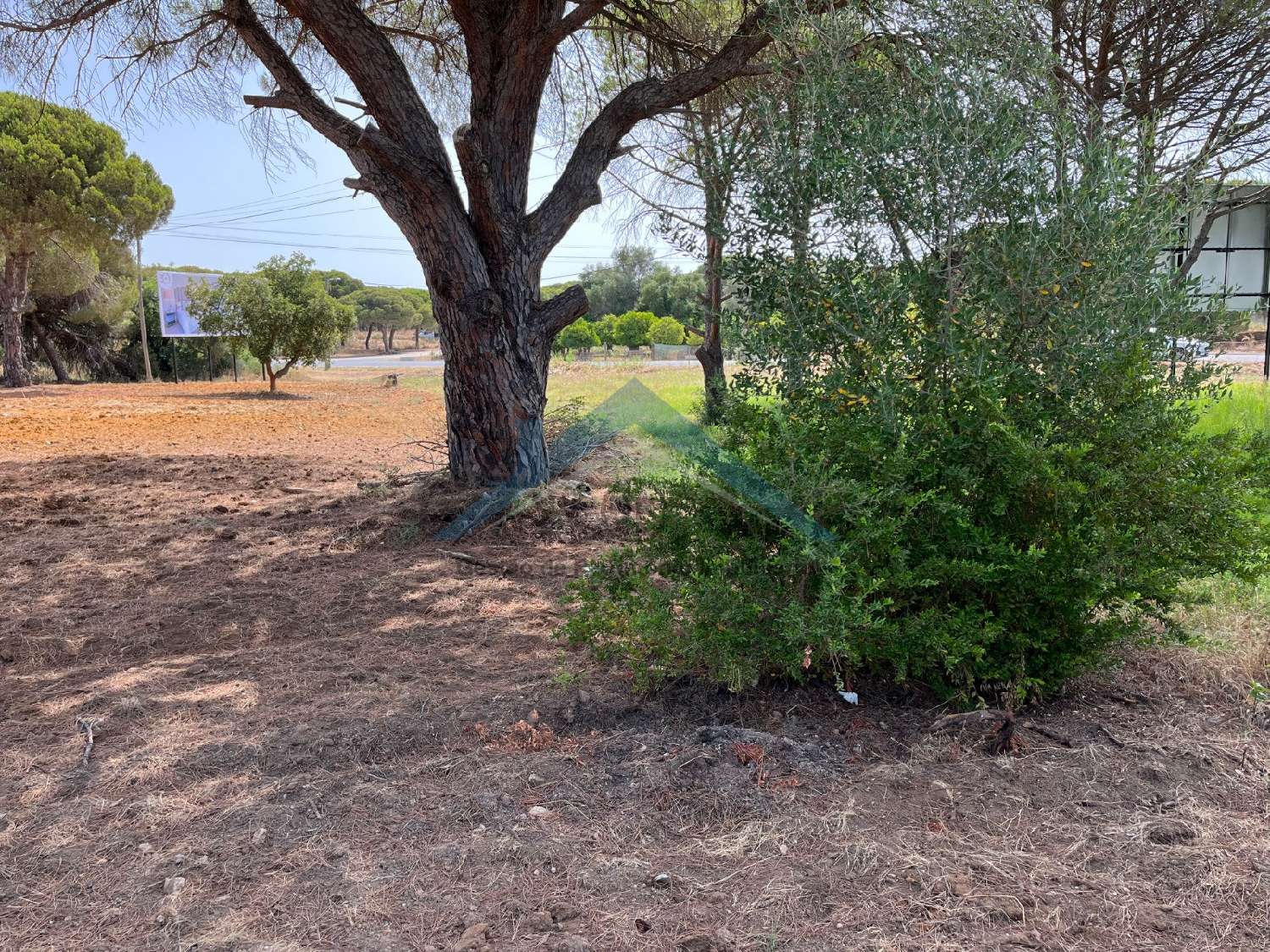  en venta terreno Almancil Loulé 4
