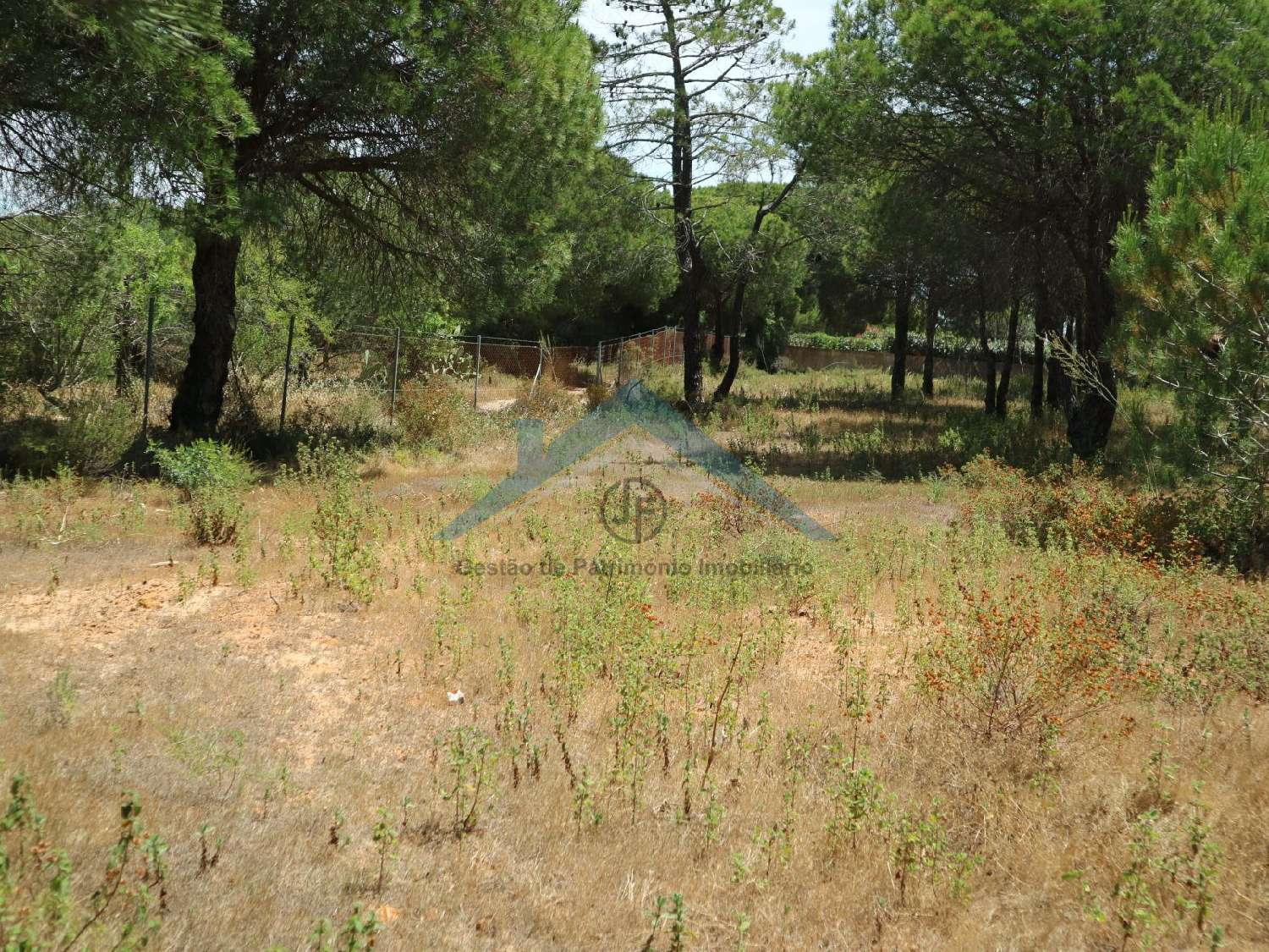  for sale terrain Almancil Loulé 1