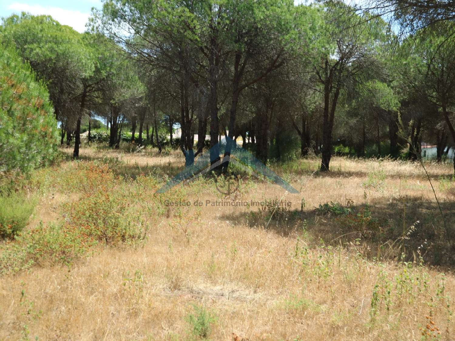 te koop terrein Almancil Loulé 2