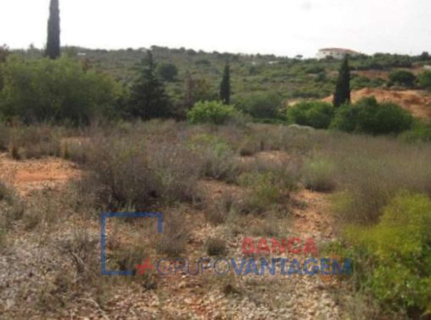  for sale terrain Almancil Loulé 1