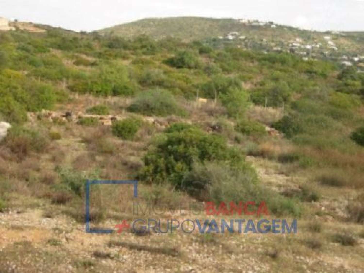 à venda terreno Almancil Loulé 2