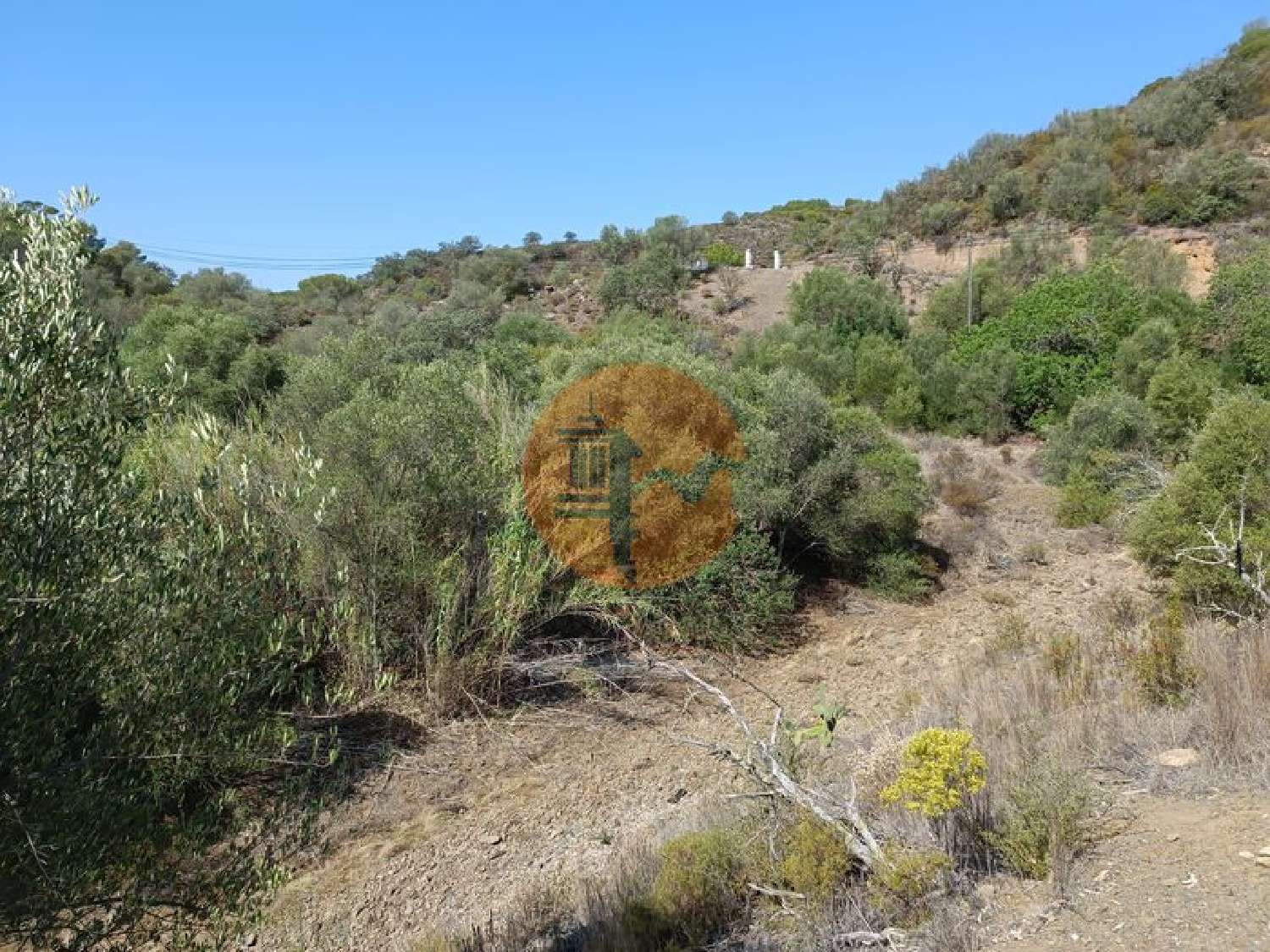  à venda terreno Azinhal Albufeira 5