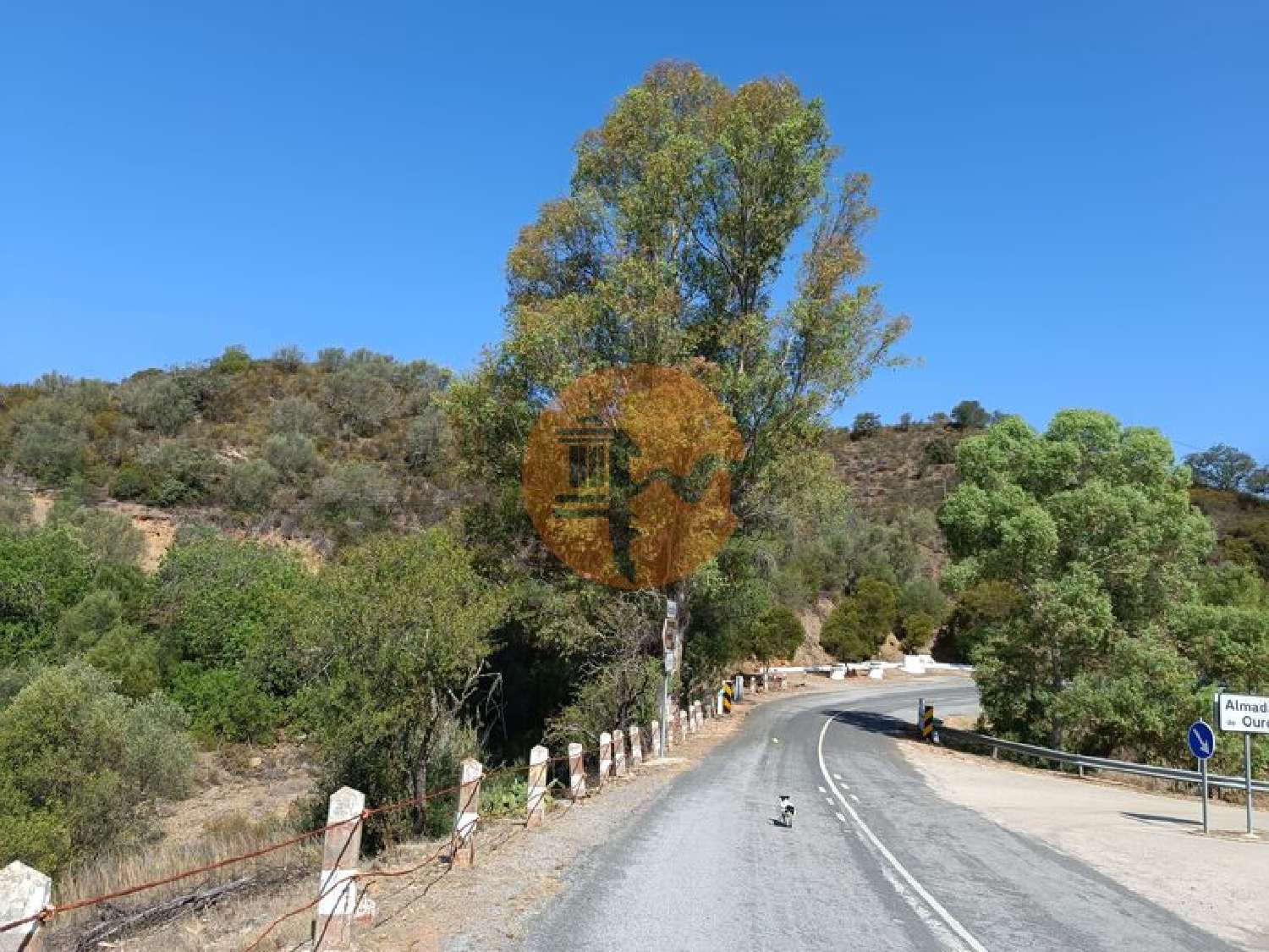  à venda terreno Azinhal Albufeira 6