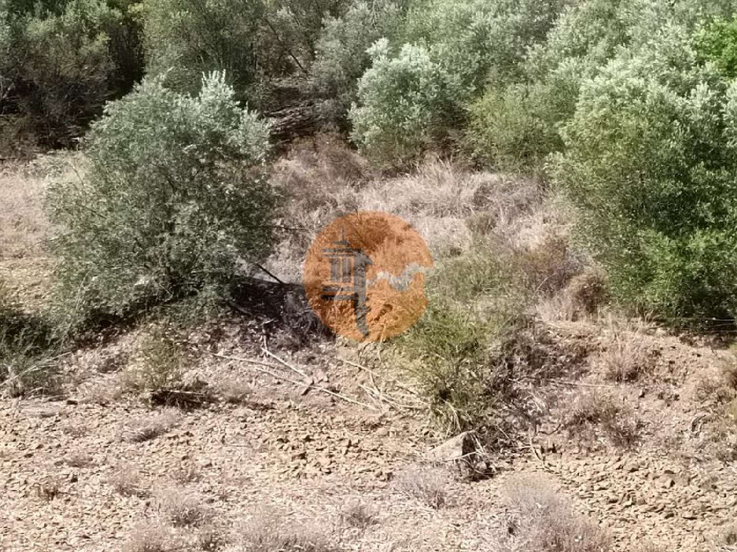  à venda terreno Azinhal Albufeira 8