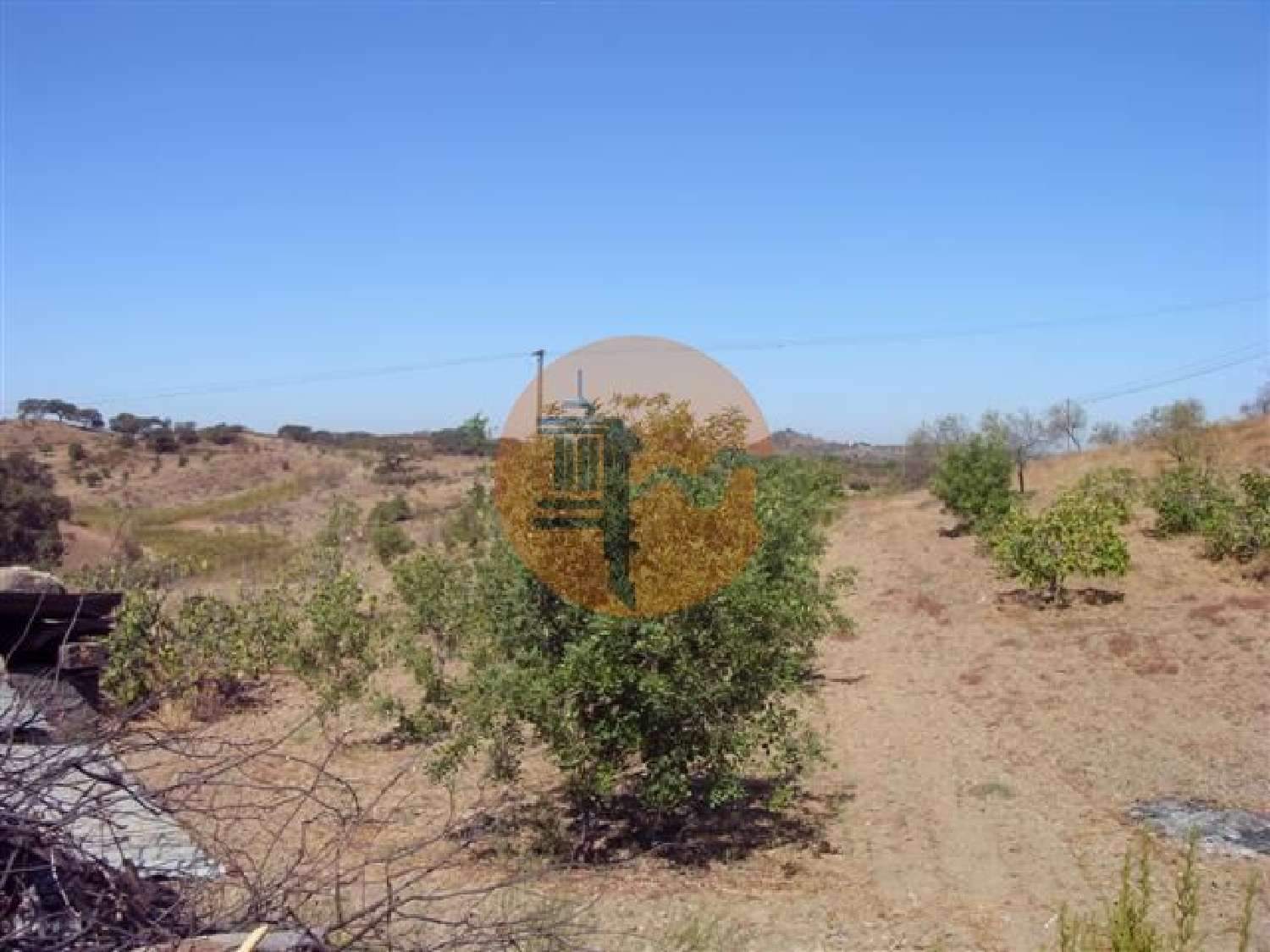  à venda terreno Azinhal Albufeira 3