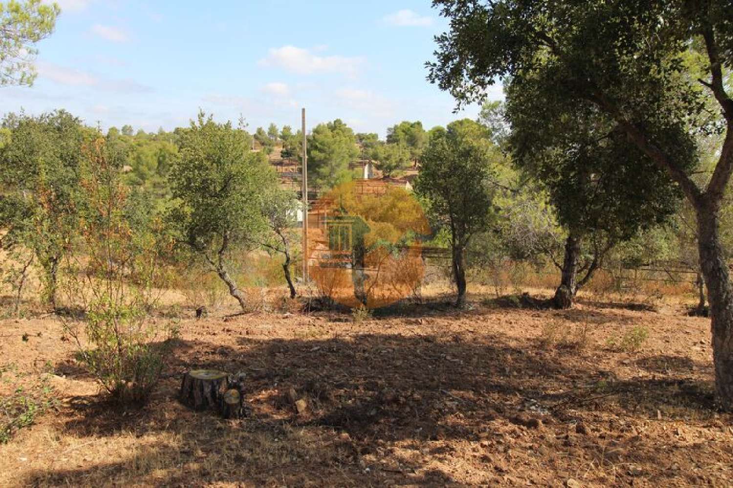  en venta terreno Azinhal Albufeira 4