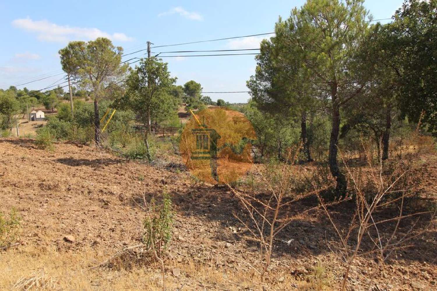  en venta terreno Azinhal Albufeira 6