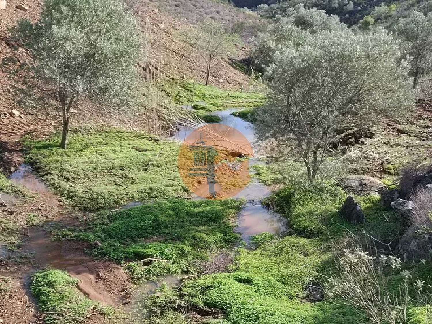  à venda terreno Azinhal Albufeira 1