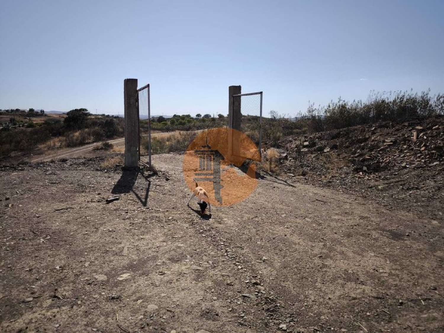  à venda terreno Azinhal Albufeira 3