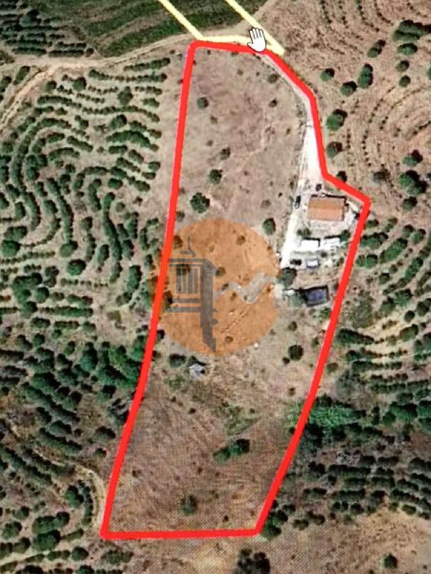  te koop terrein Azinhal Albufeira 3