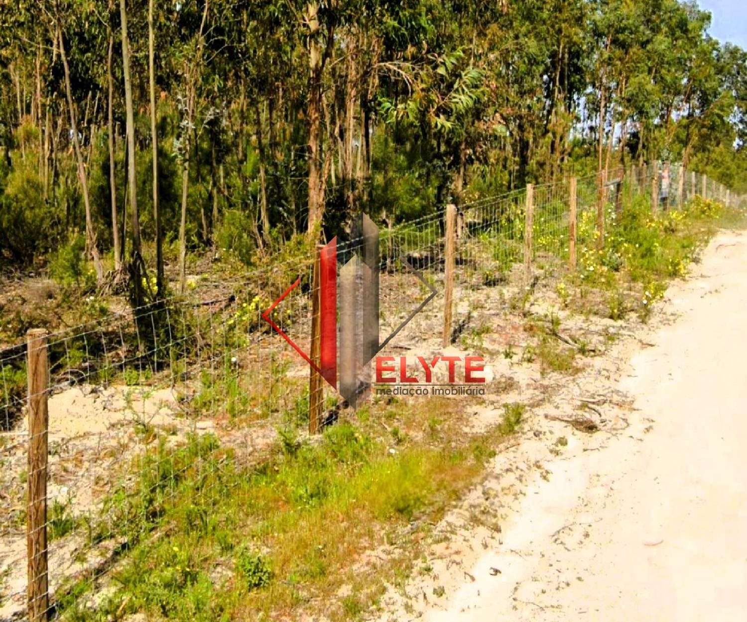  en venta terreno Branca Coruche 1