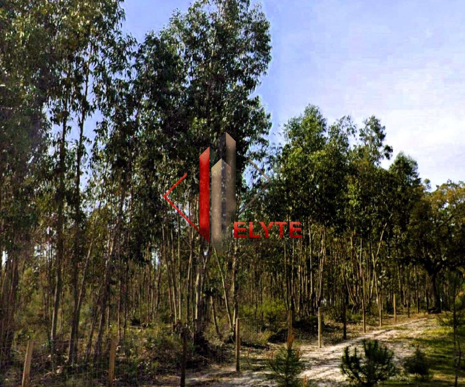 en venta terreno Branca Coruche 2