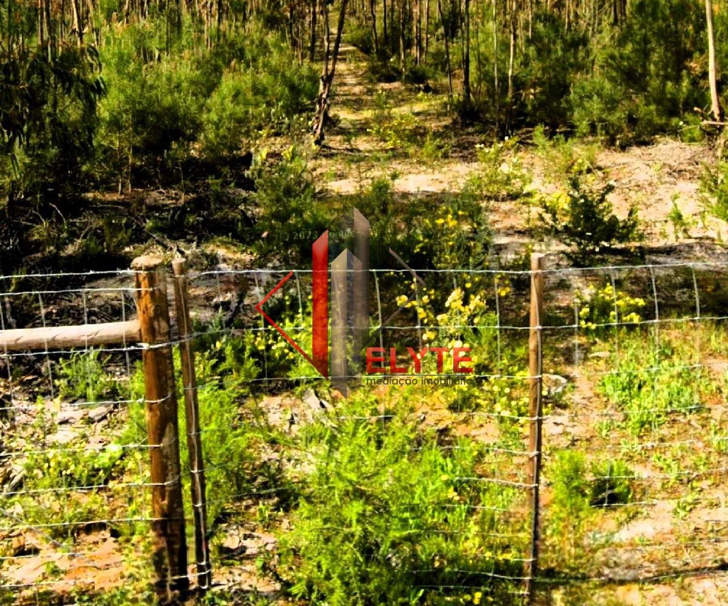  en venta terreno Branca Coruche 4