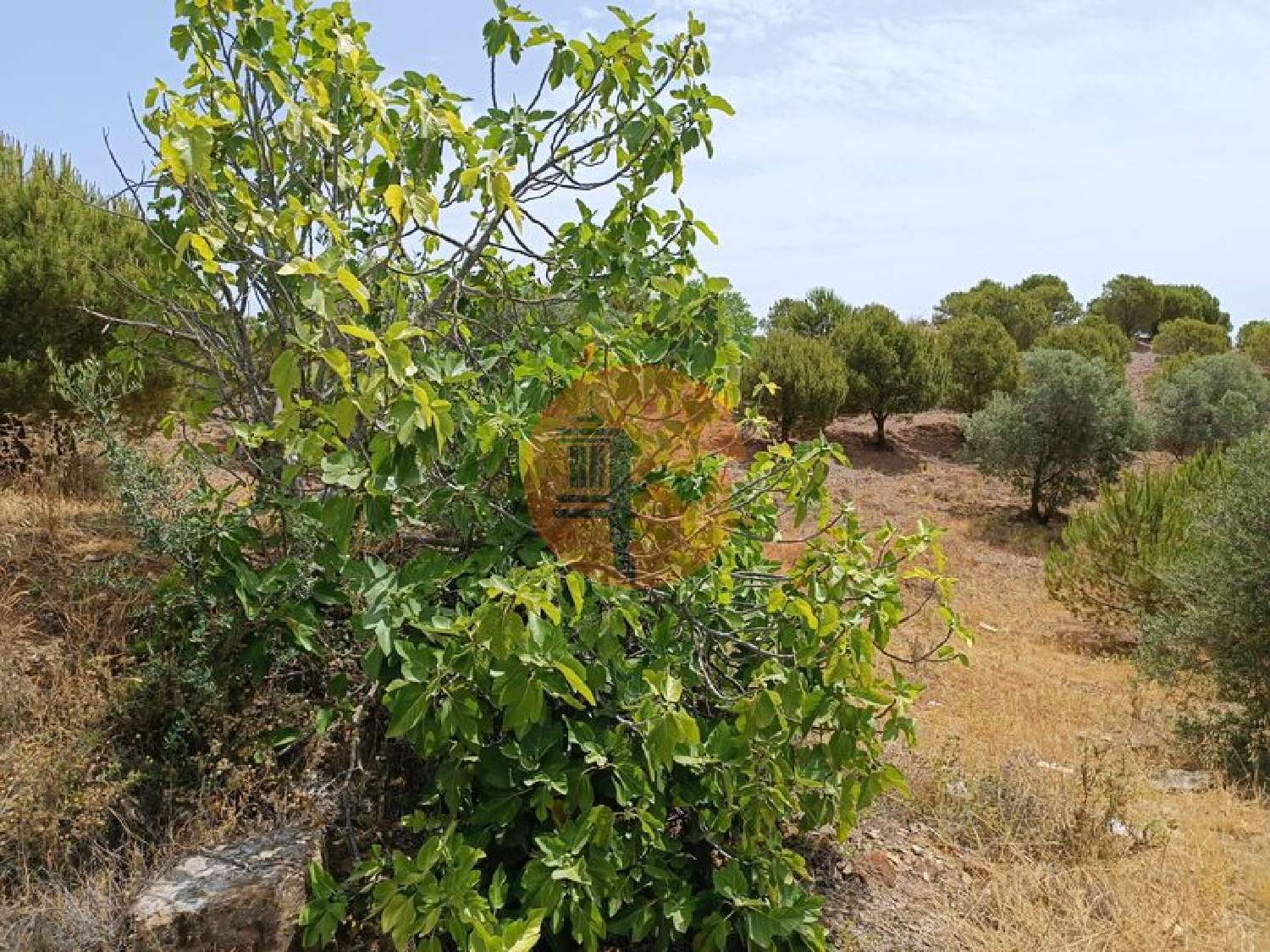  te koop terrein Castro Marim Castro Marim 6