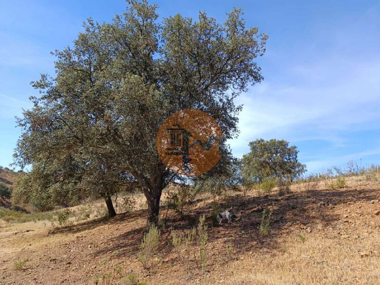  te koop terrein Castro Marim Castro Marim 3