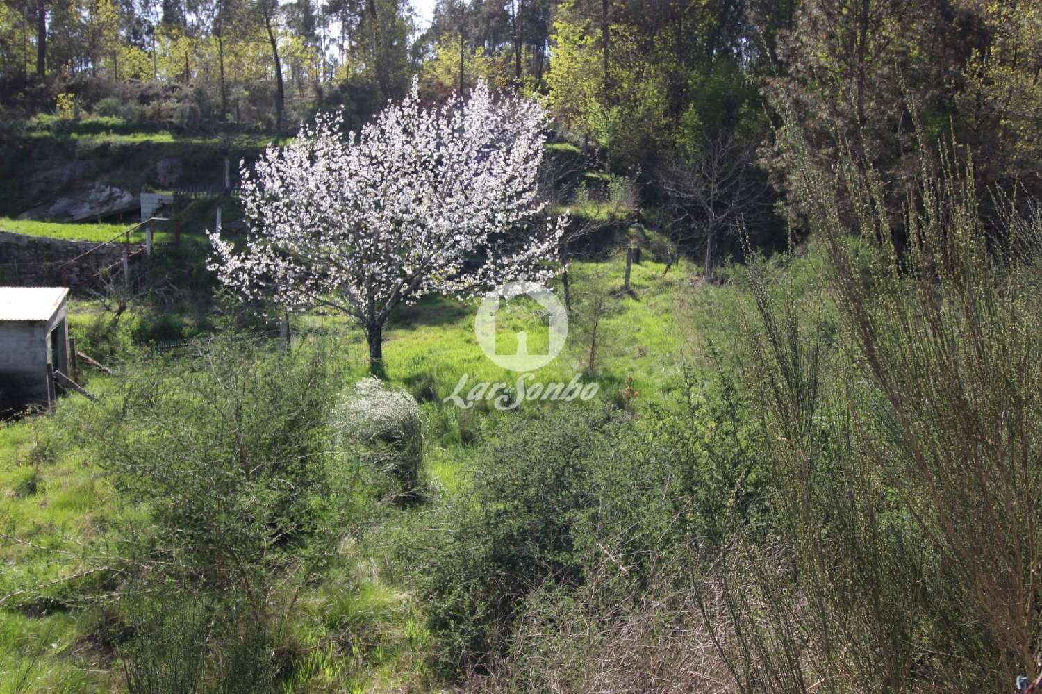  à venda terreno Cepães Fafe 2