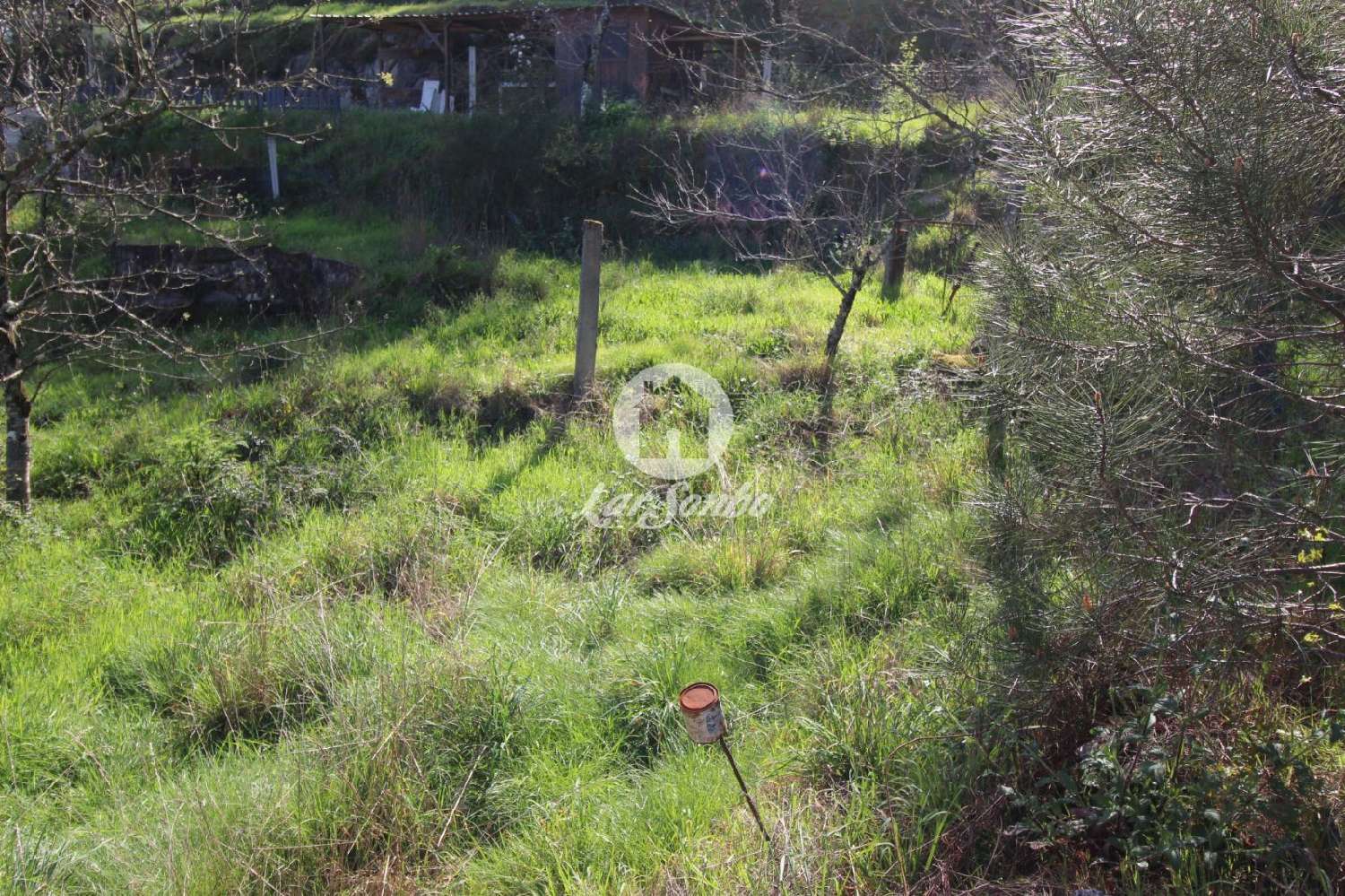  à venda terreno Cepães Fafe 3