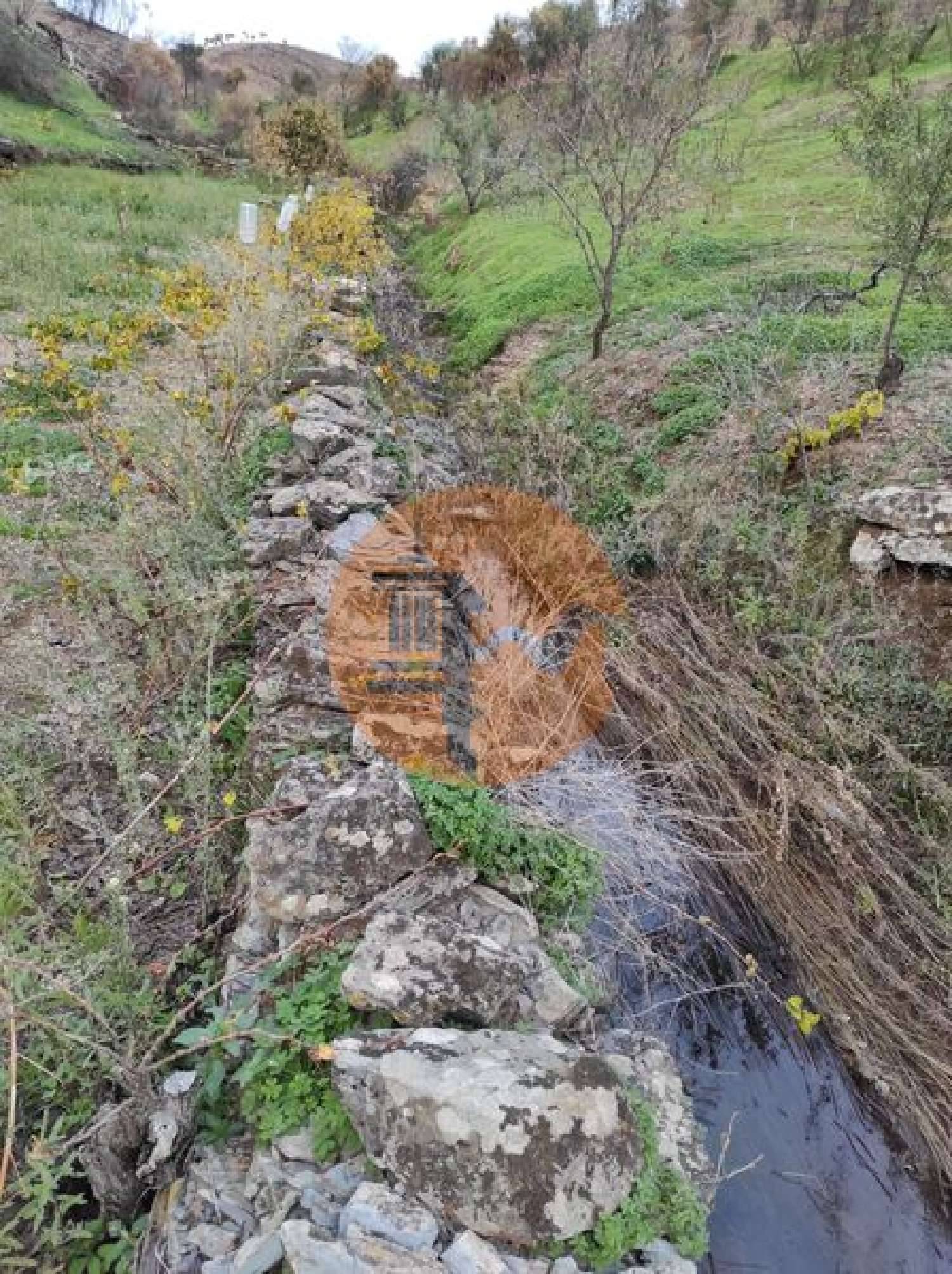  à venda terreno Conceição Faro 4