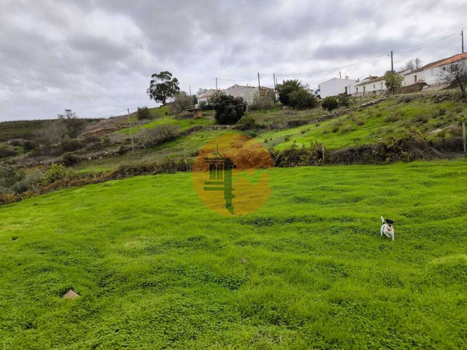  te koop terrein Conceição Faro 4