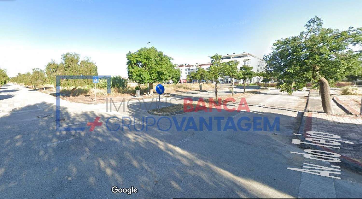 for sale terrain Entroncamento Entroncamento 3