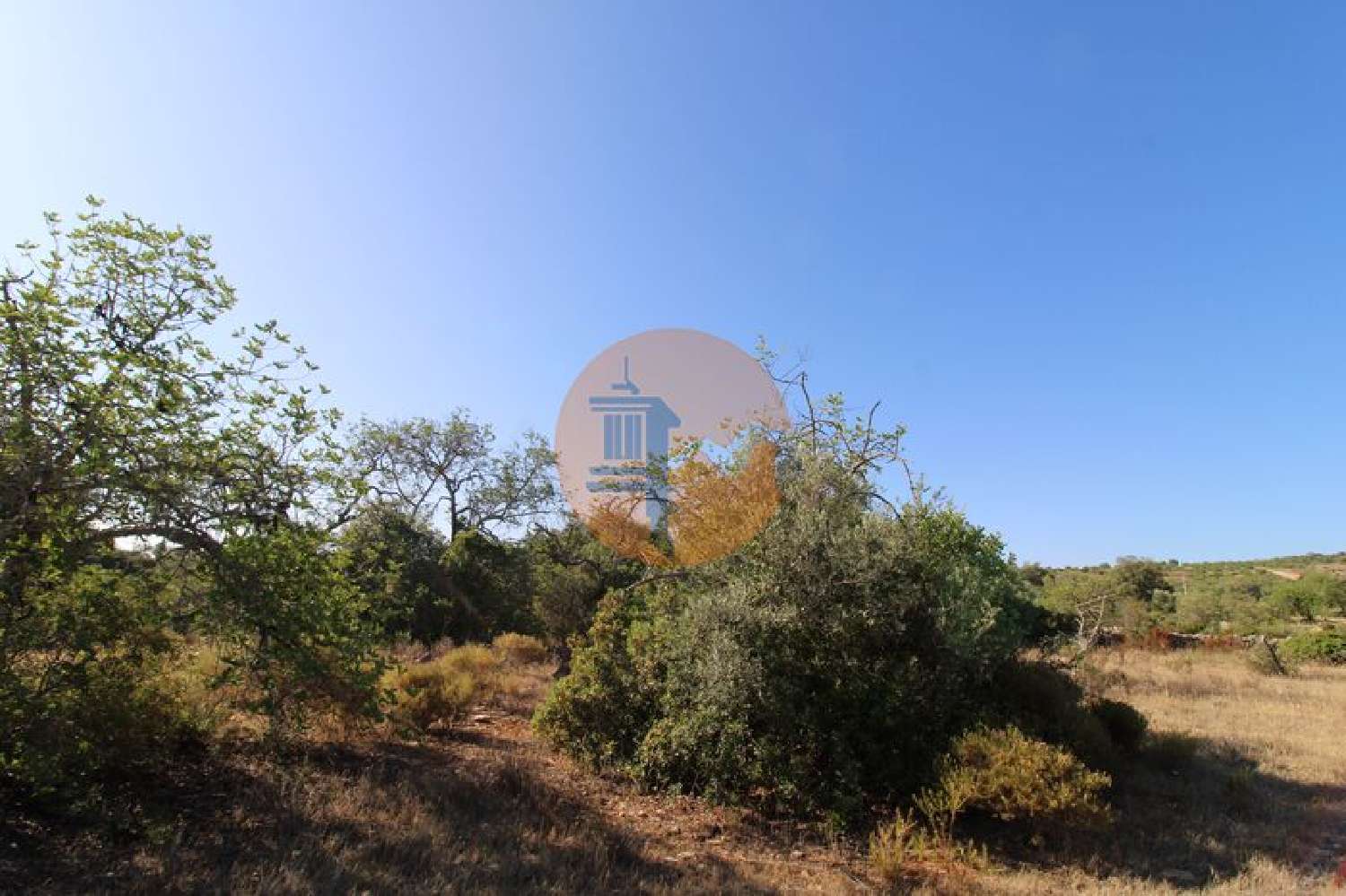  en venta terreno Estoi Faro 3