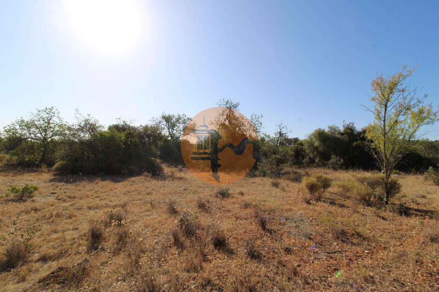  en venta terreno Estoi Faro 6